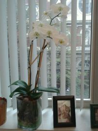 p0zuAVITR5QrUJIw-zGIMhlwFm1d_EXWpDJLwln5sLE