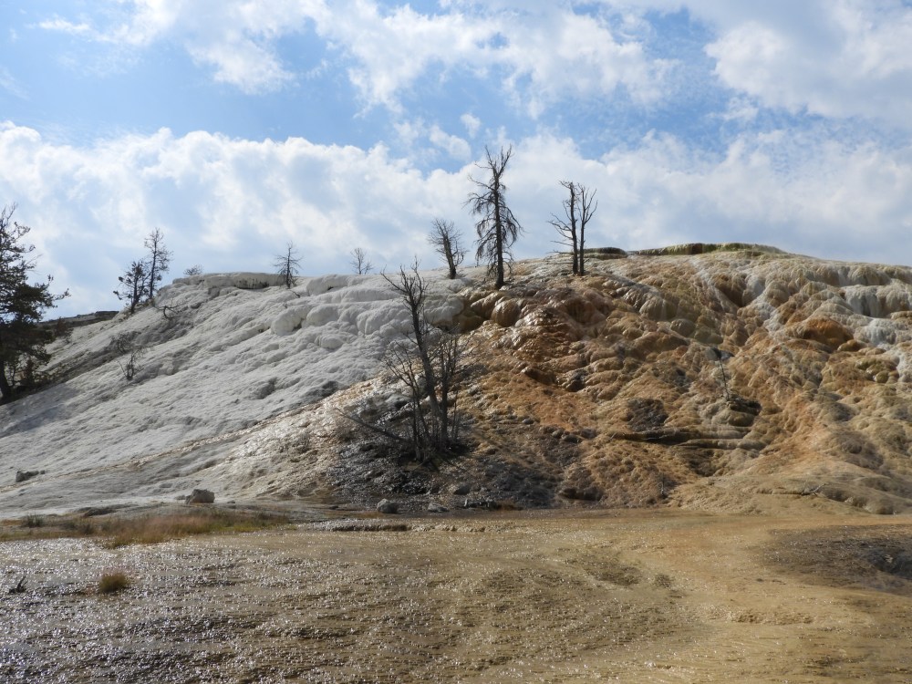 SD 2 LAKOTA &amp; ECLIPSE 2071 186