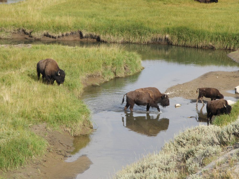 SD 2 LAKOTA & ECLIPSE 2071 323.JPG