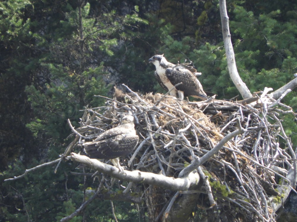 SD 2 LAKOTA & ECLIPSE 2071 361.JPG