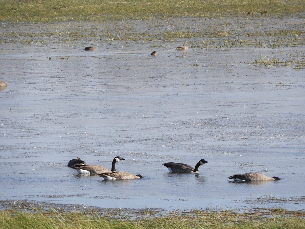 SD 2 LAKOTA & ECLIPSE 2071 377.JPG