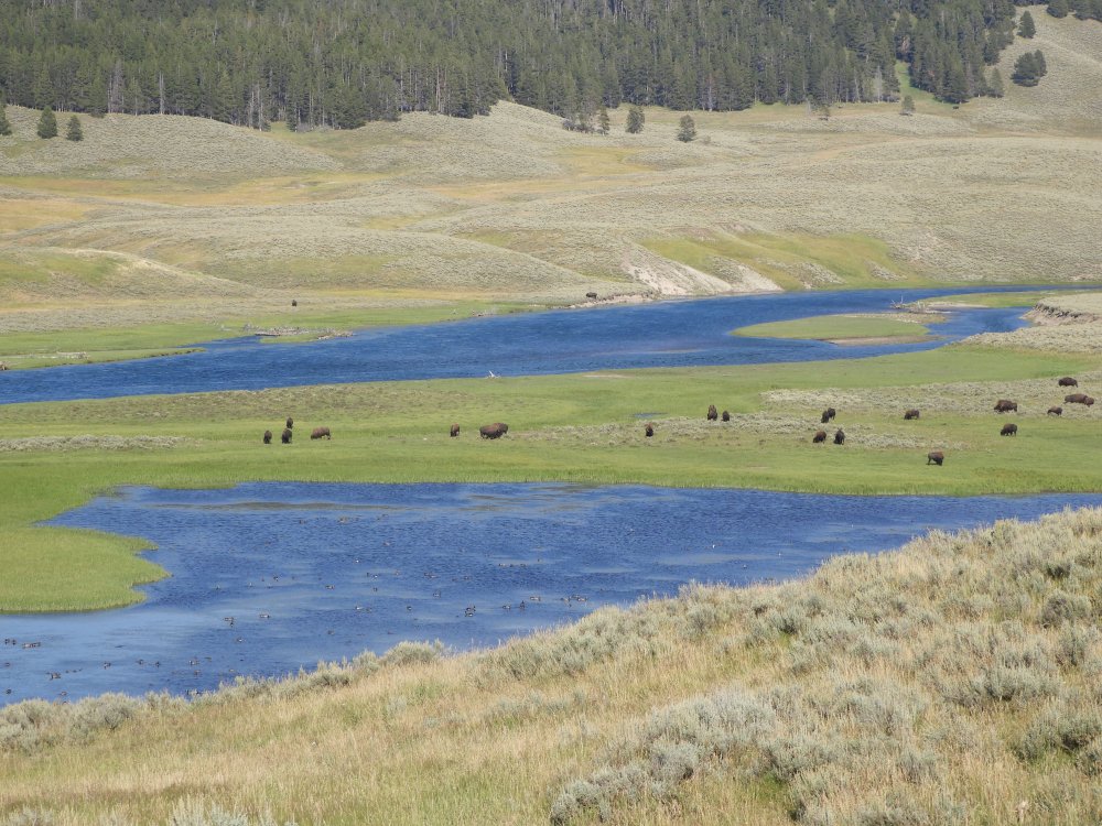 SD 2 LAKOTA & ECLIPSE 2071 379.JPG